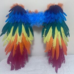 Colorful Feather Wings